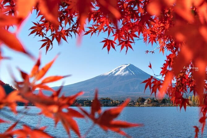 Mount Fuji Full Day Tour form Tokyo Lake Kawaguchi & Yamanaka - Stop 2: Oshino Hakkai springs, the eight-clear-springs pause