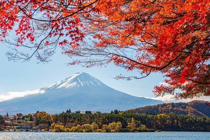Mount Fuji Full Day Tour form Tokyo Lake Kawaguchi & Yamanaka - Stop 1: Lake Yamanaka and a swan-lake stroll