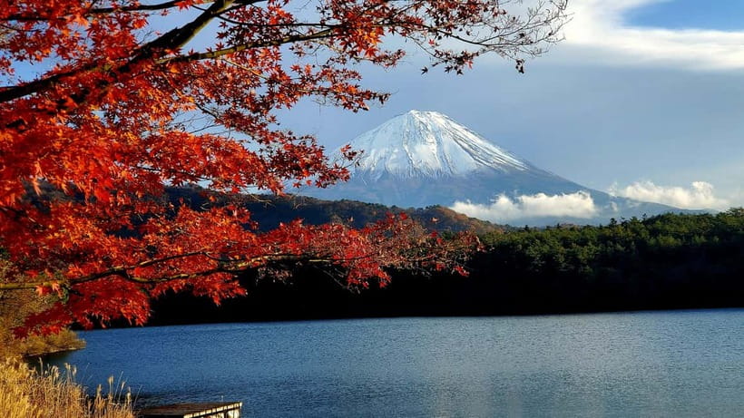 Mount Fuji & Hakone Full-Day Private Tour (Customizable) - Key Points You’ll Actually Care About