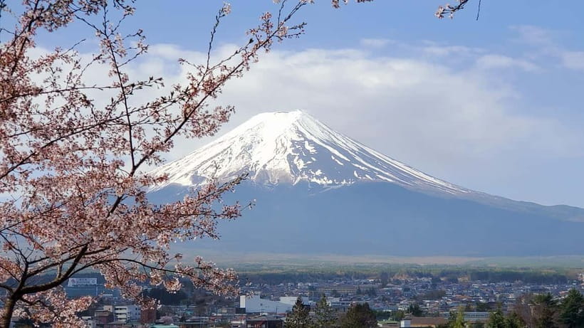 Mount Fuji & Hakone Full-Day Private Tour (Customizable) - What You’re Really Buying With This 10-Hour Private Tour
