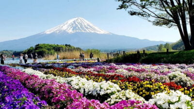 Mount Fuji & Hakone Full-Day Private Tour (Customizable) - Tokyo Pickup and the Reality of a Full Day