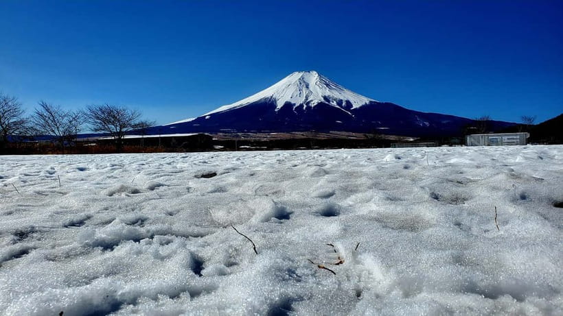 Mount Fuji & Hakone Full-Day Private Tour (Customizable) - Oshino Hakkai: Eight Koi Ponds and a Reset From the Road