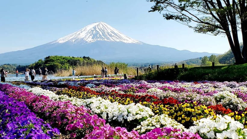 Mount Fuji & Hakone Full-Day Private Tour (Customizable) - Tokyo Pickup and the Reality of a Full Day