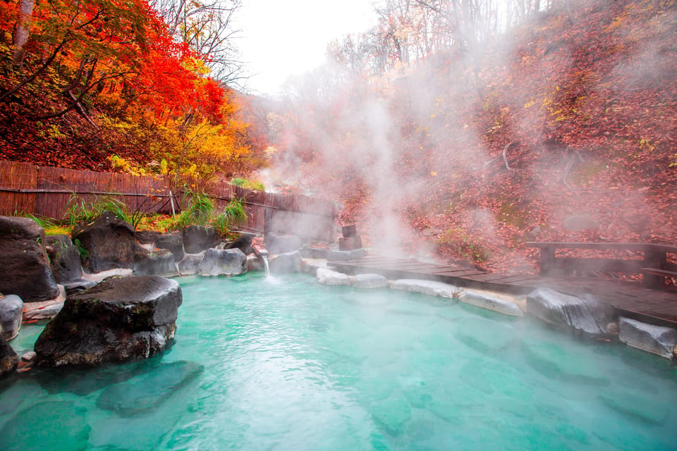 Mount Fuji - Hakone & Onsen Full Day Private Tour - A Private Hakone Day That Makes Sense for Fuji Watchers