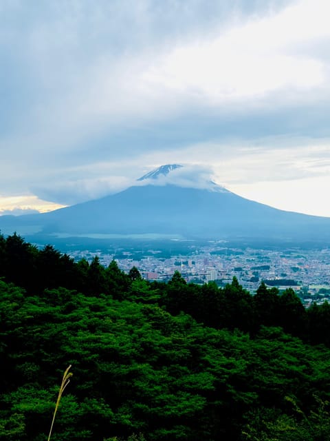 Mount Fuji Hakone with English-speaking Guide - Key things that make this tour work