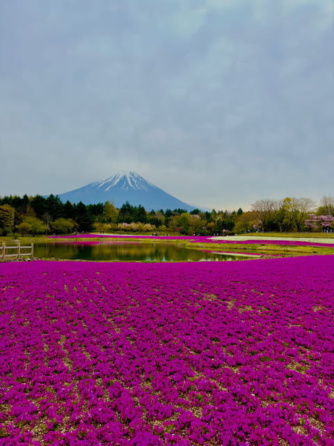 Mount Fuji Hakone with English-speaking Guide - Hakone add-on style: Lake Ashi and the big scenery payoff