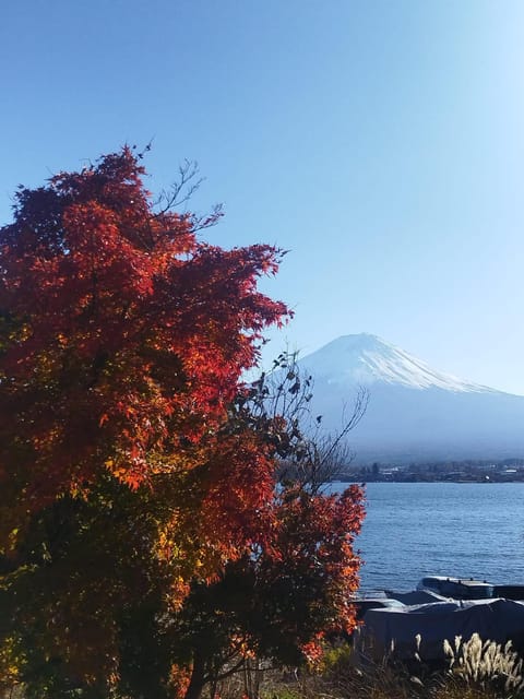 Mount Fuji-Lake Kawaguchi Private Tour with Bilingual Driver - Oshino Hakkai: spring water scenery you can actually feel