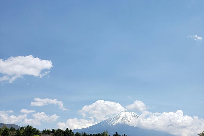 Mount Fuji (Mt. fuji) private tour by car with pickup from Tokyo - Stop 3: Kitaguchi Hongu Fuji Sengen Jinja Shrine (a shrine older than your flight)