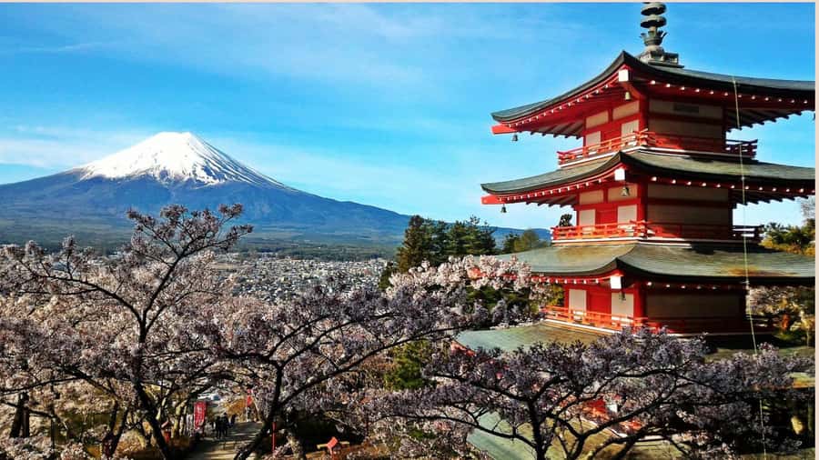 Mount Fuji One Day Private Tour With English Speaking Driver - Private tour details that affect your whole day