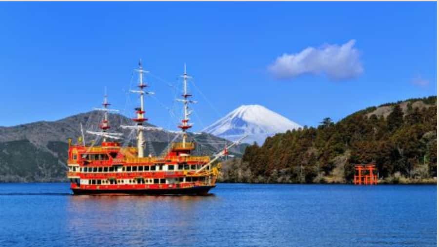 Mount Fuji One Day Private Tour With English Speaking Driver - Key things to know before you go