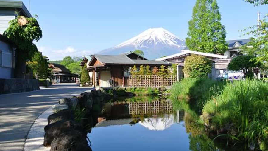 Mount Fuji One Day Private Tour With English Speaking Driver - English-speaking driver: where it can shine, and where you should stay alert
