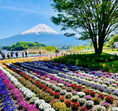 Mount Fuji One Day Private Tour With English Speaking Driver - Private Mt. Fuji routing that keeps you out of tour-bus mode
