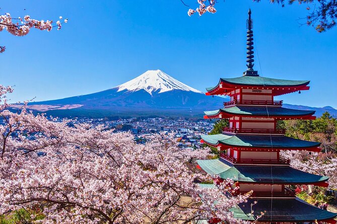 Mount Fuji Private Custom Tour with Local English Speaking Guide - Key highlights you should care about