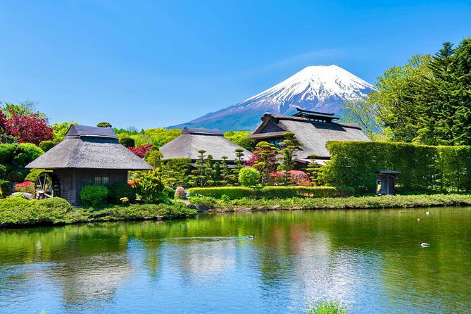 Mount Fuji Private Custom Tour with Local English Speaking Guide - A private Mt. Fuji day trip that doesn’t feel like a cram tour