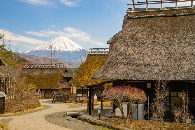 Mount Fuji Private Custom Tour with Local English Speaking Guide - Stop 1: Mt. Fuji Subaru Line 5th Station (highest car-access viewpoint)