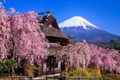 Mount Fuji Private Custom Tour with Local English Speaking Guide - Your custom itinerary: choose views, culture, or shopping