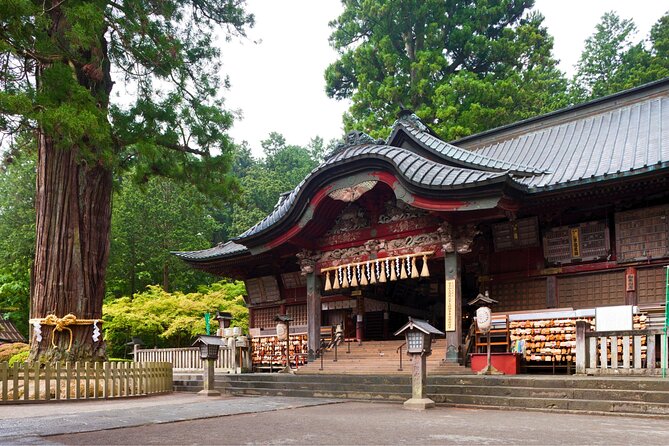 Mount Fuji Private Custom Tour with Local English Speaking Guide - Stop 2: Arakurayama Sengen Park and the Chureito Pagoda view