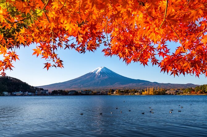 Mount Fuji Private Custom Tour with Local English Speaking Guide - Stop 3: Lake Kawaguchiko for the cleanest, easiest Fuji views