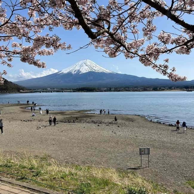 Mount Fuji Private day tour from Tokyo private & Customized - Key takeaways before you commit