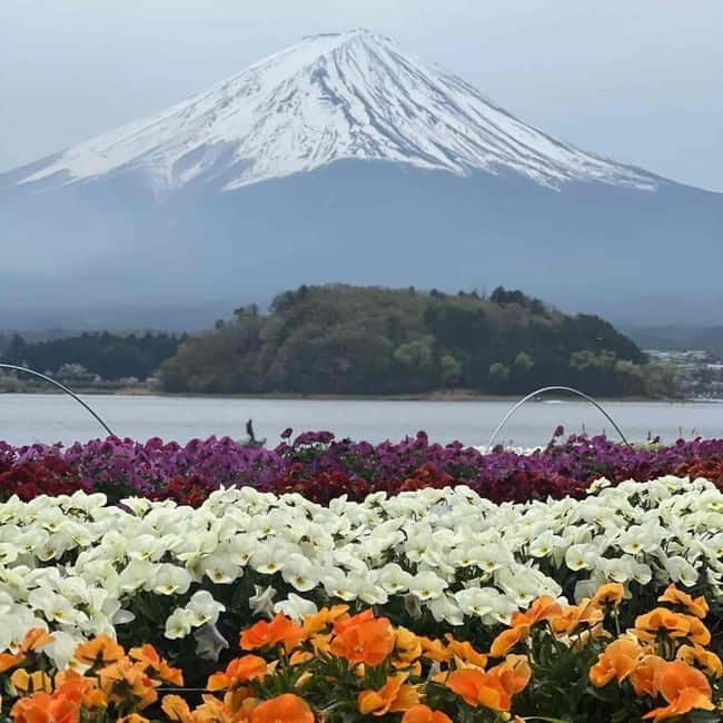 Mount Fuji Private day tour from Tokyo private & Customized - Mt. Fuji classic views: photo stops and a guided guided look
