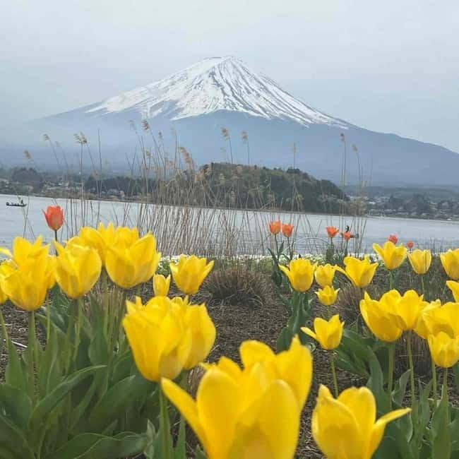 Mount Fuji Private day tour from Tokyo private & Customized - Mount Fuji 5th Station: worth it, but fees and conditions apply