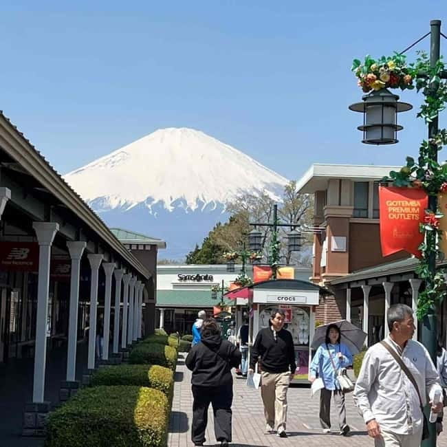 Mount Fuji Private day tour from Tokyo private & Customized - What’s included, what’s not, and what to budget