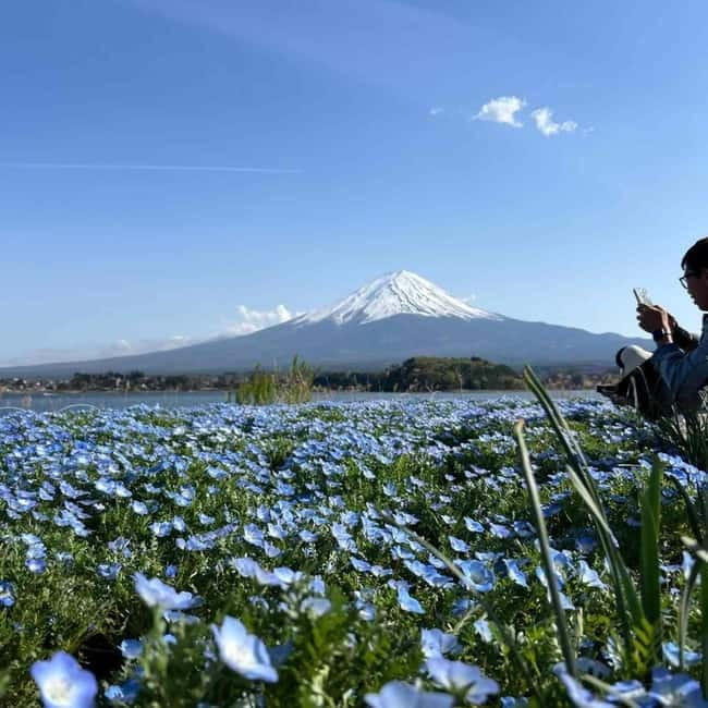 Mount Fuji Private day tour from Tokyo private & Customized - The Fuji loop: how the day is paced around your best moments