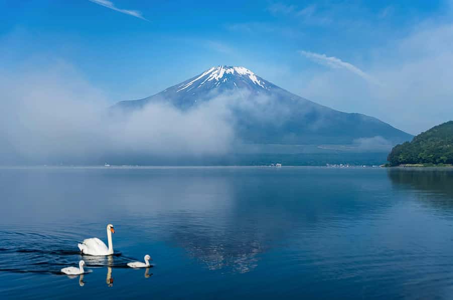 Mount Fuji Private Day Trip With Customizable Itinerary - Etiquette and practical packing tips for shrine visits