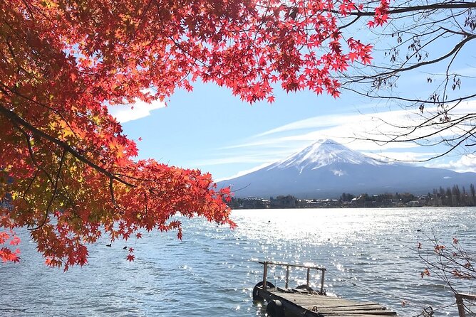 Mount fuji Private Tour - Private Mt Fuji day trip from Tokyo: what you’re paying for