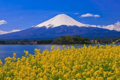 Mount fuji Private Tour - 7:00 AM pickup in Tokyo: how to make the morning painless