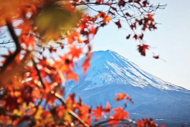 Mount fuji Private Tour - Why the timing and stop order are a big deal (not just “more places”)