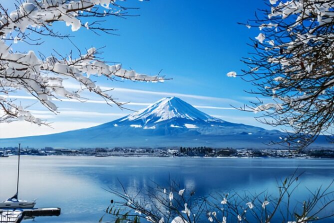 Mount Fuji Private Tour from Tokyo with English Speaking Driver - Key things to know before you go