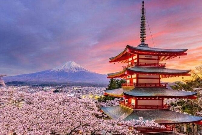 Mount Fuji Private Tour from Tokyo with English Speaking Driver - Oshino Hakkai: spring ponds, snacks, and that calm old-village feel