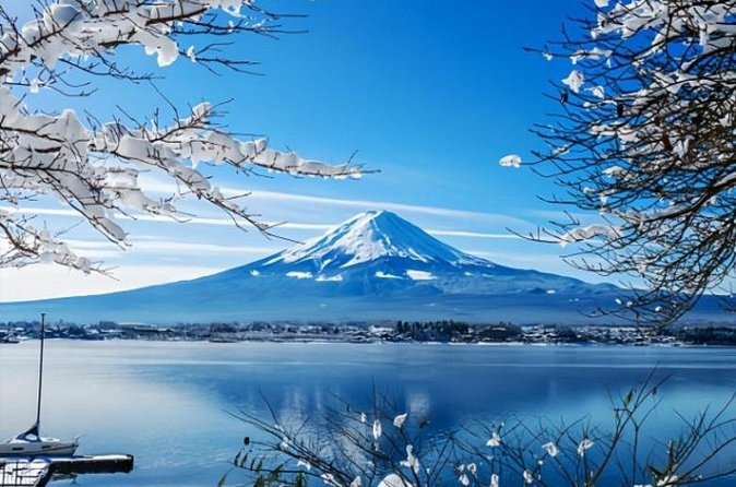 Mount Fuji Private Tour from Tokyo with English Speaking Driver - Price and logistics: where the value really comes from