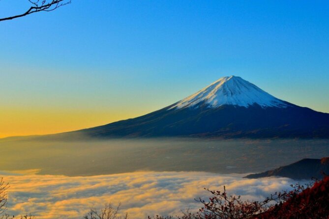 Mount Fuji Private Tour from Tokyo with English Speaking Driver - The Tokyo-to-Fuji drive: early start, cushy ride, less stress