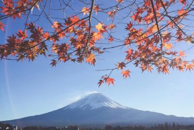 Mount Fuji Private Tour With English Speaking Driver - What the private format changes (for the better)