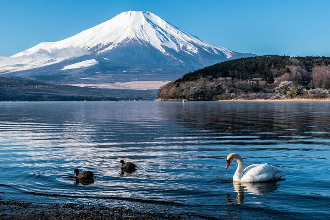 Mount Fuji Private Tour With English Speaking Driver - Lake Kawaguchiko: views plus a real lakeside feel