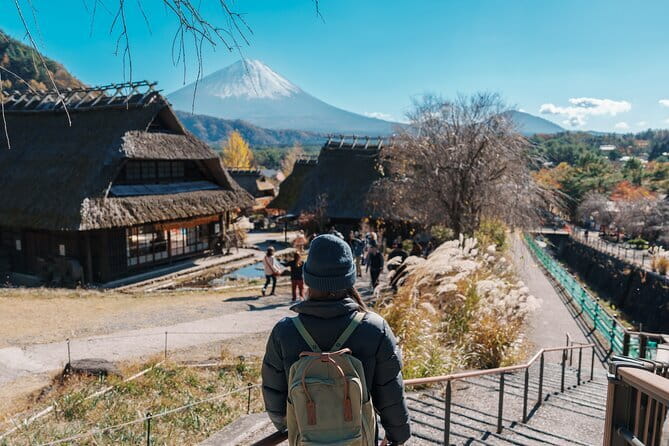 Mount Fuji Sightseeing Private tour w English speaking chauffeur - Pacing and photo help: how to get great shots without stress