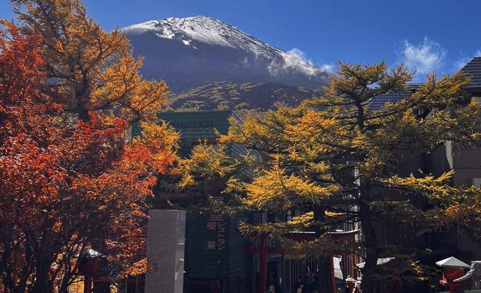 Mount Fuji Sightseeing tour with English speaking guide - Why a one-day Mt. Fuji loop can feel surprisingly satisfying