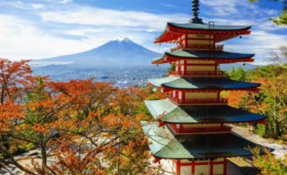Mount Fuji Sightseeing tour with English speaking guide - Pickup in Tokyo: easy when it works, stressful when it doesn’t