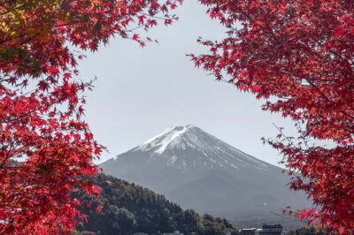 Mount Fuji,Lake Kawaguchiko Private Tour By Car With Pick Up - Pickup options and the best way to start early