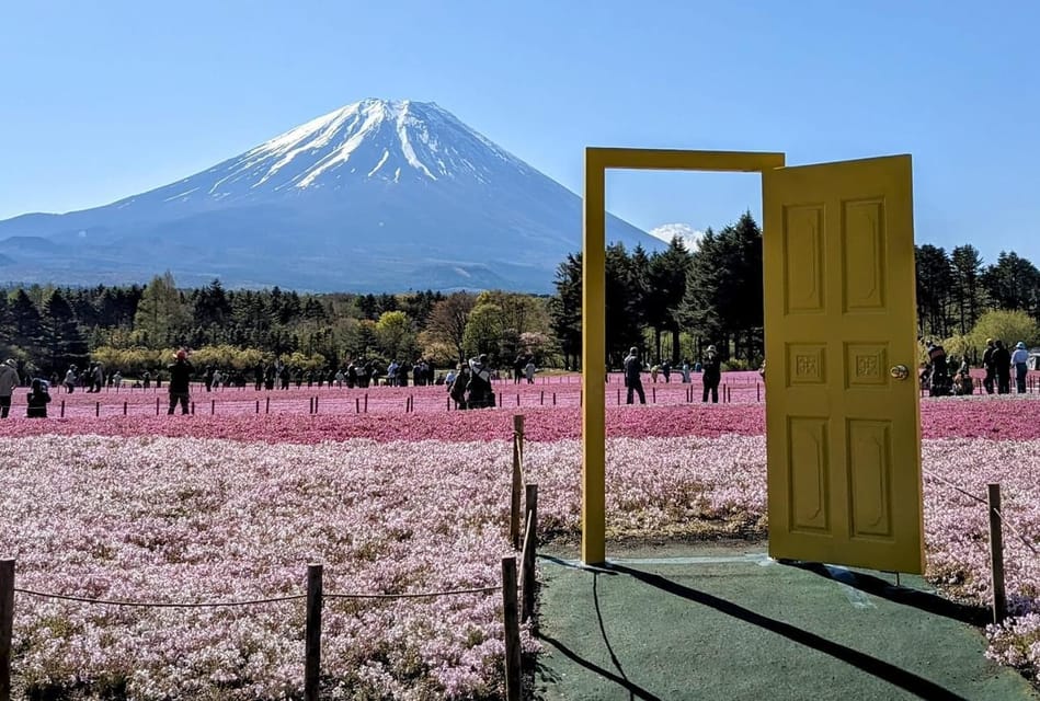 Mount Fuji,Lake Kawaguchiko Private Tour By Car With Pick Up - Fuji-Q Highland: where the day adds adrenaline
