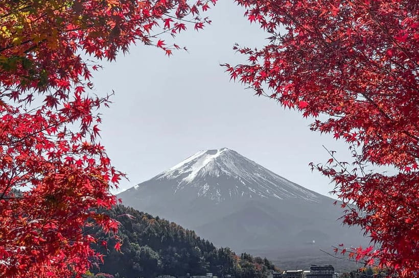 Mount Fuji,Lake Kawaguchiko Private Tour By Car With Pick Up - Pickup options and the best way to start early
