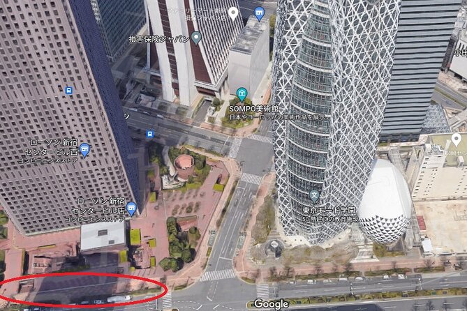 Mt. Fuji 5th Station, Owakudani Ropeway, Pirate Ship plus Outlet shopping! - Meeting in Shinjuku and what that means for your day