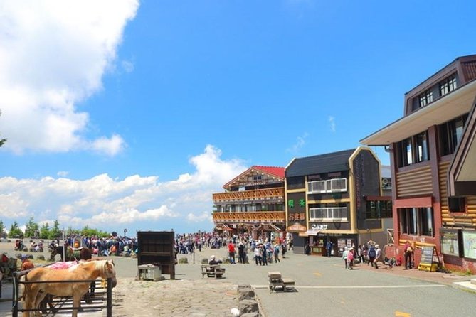 Mt. Fuji 5th Station, Owakudani Ropeway, Pirate Ship plus Outlet shopping! - Guides, pace, and how to get the most from the ride time