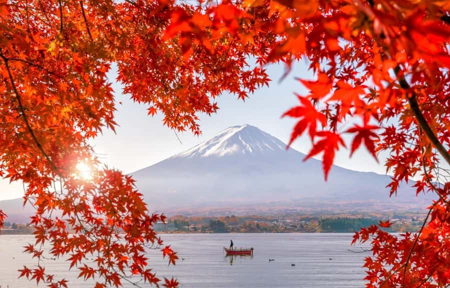 Mt. Fuji 6 Attractions Tour: Lake Kawaguchi, Oshino Hakkai - Why This Mt. Fuji Day Feels More Meaningful Than a Photo Route