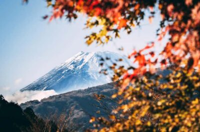 Mt. Fuji 6 Attractions Tour: Lake Kawaguchi, Oshino Hakkai - Tokyo-to-Fuji Morning: How to Use the Coach Time