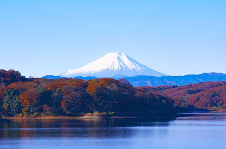 Mt. Fuji 6 Attractions Tour: Lake Kawaguchi, Oshino Hakkai - Oshino Hakkai: Where Fuji Snow Becomes Crystal Spring Water