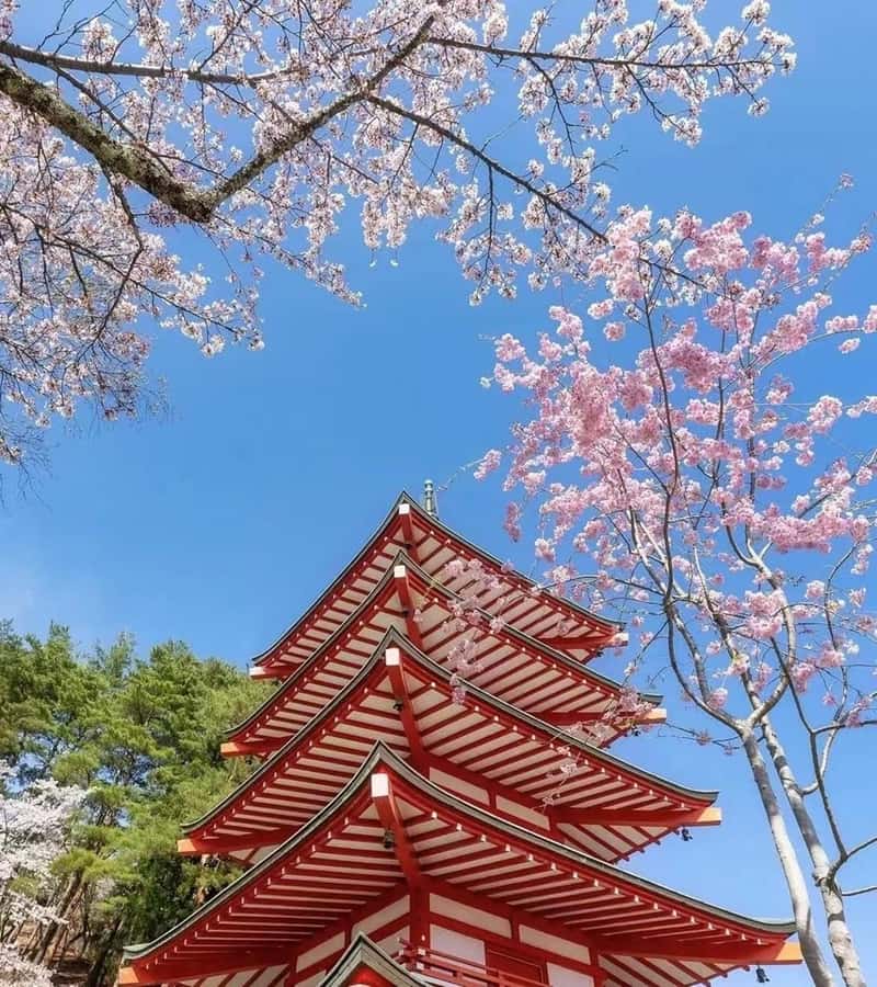 Mt. Fuji 6 Attractions Tour: Lake Kawaguchi, Oshino Hakkai - Kawaguchiko Oishi Park and the Assembly Memorial Monument