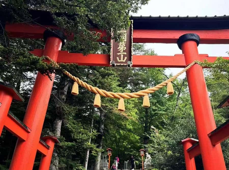 Mt. Fuji 6 Attractions Tour: Lake Kawaguchi, Oshino Hakkai - Seasonal Extras: Cherry Blossoms, Maple Corridor, and Winter Snow